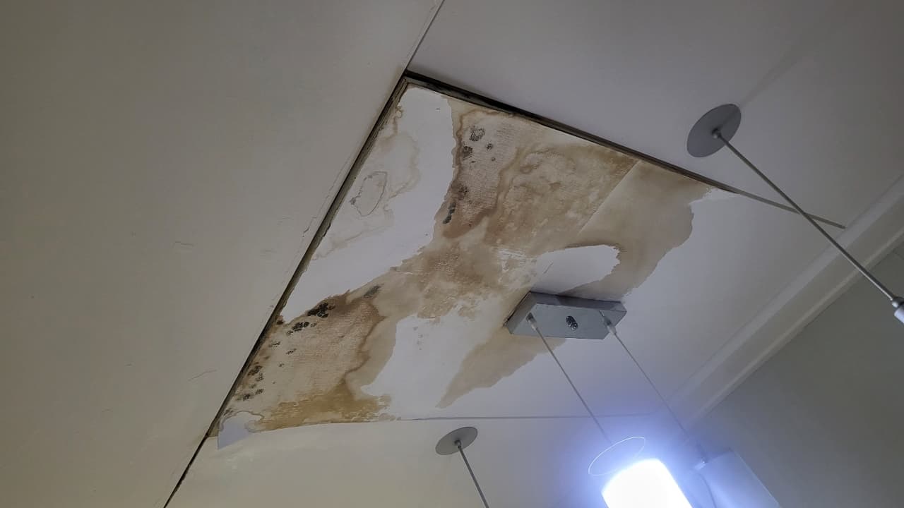 천장 누수로 곰팡이 번진 상태