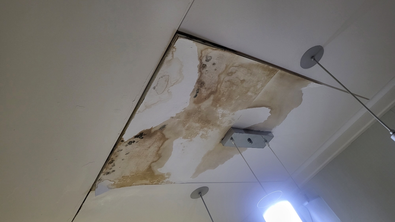 천장 누수로 곰팡이 번진 상태